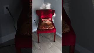 RED CHAIR SOTHEBYS 34 MILLION DOLLARS TO A JAPANESE COLLECTOR [upl. by Earleen870]