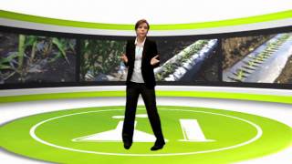 5 minutes pour tout savoir sur les bioplastiques [upl. by Dranel214]