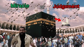 WEIRD INSECTS INVADE KAABA IN MECCA AND TERRIFY MUSLIMS MIRACLE OR JUDGMENT FROM GOD [upl. by Aicekat]