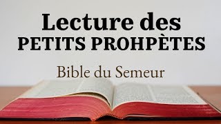 LES PETITS PROPHÈTES Bible du Semeur [upl. by Doe478]