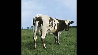 Atom Heart Mother Remergence [upl. by Dahij]