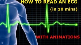 HOW TO READ AN ECG WITH ANIMATIONSin 10 mins [upl. by Nahum]