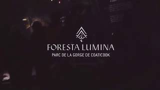 Foresta Lumina  Parc de la Gorge de Coaticook [upl. by Anaid50]