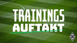 🔴 LIVE Trainingsauftakt 202425  FohlenInsights [upl. by Assirak]