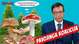 Skvernelio operacija pavadinimu quotAgnėquot [upl. by Kristy]