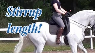 Correct stirrup length How to adjust your stirrups for dressage [upl. by Anala77]