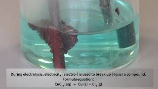 Electrolysis of Copper Chloride solution National 5 [upl. by Arek]