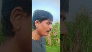 Mere dost kisha ye Kya Ho Gaya song hindisong bollywood youtubeshort [upl. by Idihsar741]