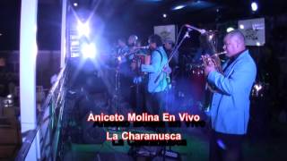 Aniceto Molina La Charamusca y La Cumbia Sampuesana En Vivo [upl. by Murdock848]