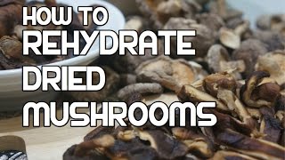 How to Rehydrate Dried Mushrooms  ReHydrating Reconstitute  Best Mushroom Recipes [upl. by Argyle652]