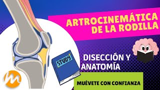 ARTROCINEMÁTICA DE RODILLA CON DISECCIÓN DE RODILLA [upl. by Yednarb]