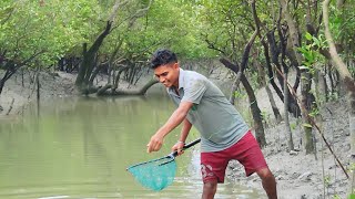 today we are catching fish and crabs in Sundarban jungle [upl. by Perreault]