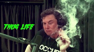 quotThe Boss 🍀quot • Elon Musk Smoking Whatsapp Status 🇺🇸🔥 [upl. by Suiradal271]