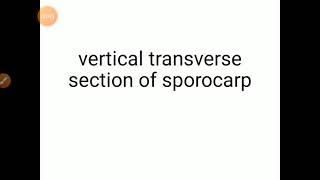 VTS and VLS of sporocarp of Marsilea [upl. by Janella]