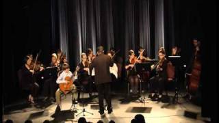 Nicolas Raymond  Antonio Vivaldi  Concerto en Ré majeur 1er mouvement Allegro [upl. by Mckinney]