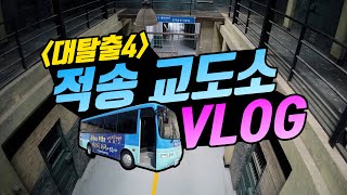 대탈출4 버스 경적의 진실은 🚌 [upl. by Leann]