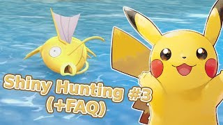 Lau Shiny Hunting de Magicarpe qui se transforme en FAQ 3  Pokémon Lets Go Pikachu [upl. by Ahsiekyt]