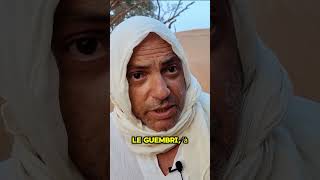 gnawa diffusion maroc music gnawa gnawamusic mali [upl. by Ekoorb]