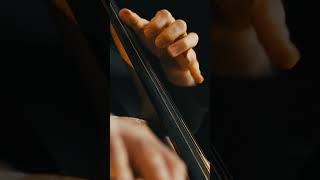 J S Bach  Cello suite No 1 Prelude  Jakob Koranyi cello [upl. by Refotsirk21]