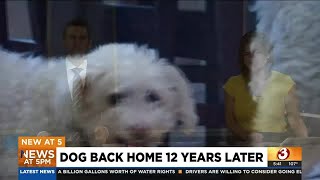 Glendale family reunites with lost dog after 12 years [upl. by Wernsman574]