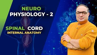 MBBS First Year  Neuro Physiology  Spinal Cord Internal Anatomy  Dr Sachin Kapur  AIIMS [upl. by Everett]