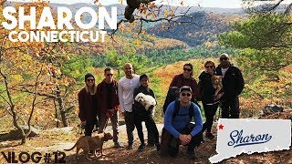 The Sharon CT Vlog [upl. by Octavie]