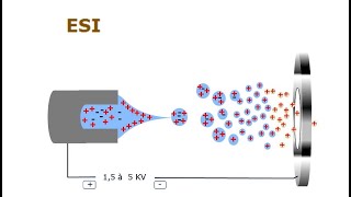 Spectrométrie de masse  07 Ionisation par électrospray ESI [upl. by Aeila]