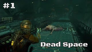 Its Crawling Its Crawling  Dead Space Part 1 [upl. by Sollars]