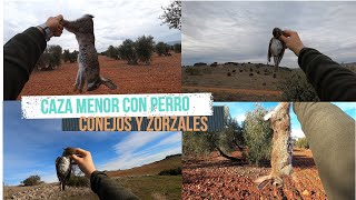 Mi primer Doblete de Conejos 🐰🐰😱😱 Caza de Conejos y Zorzales con mi padre [upl. by Glori]