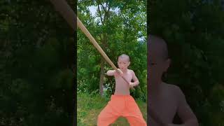 The Kungfu training chinese martial arts boy Action kungfu martialartsactionwingchun kungfulife [upl. by Attenyw]