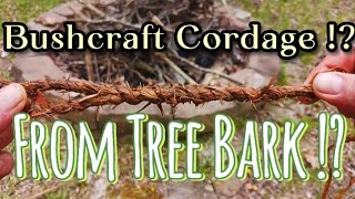 Bushcraft  Ancient knowledgeHow to make cordage from Poplar tree bark [upl. by Millan]