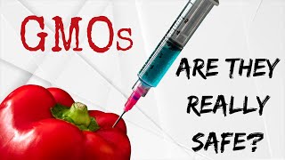 GENETICALLY MODIFIED ORGANISMS ARE THEY REALLY SAFE [upl. by Etnaid]