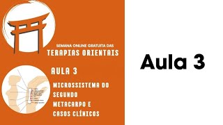 Aula 3  Microssistema do Segundo Metacarpo e casos clínicos [upl. by Wagstaff]