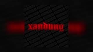 TLOW  XANDUNG [upl. by Sayre]