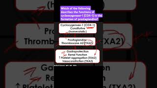 Describe the functions of cyclooxygenase1 COX1 in the formation of prostaglandins [upl. by Akanke919]