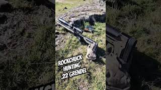 Rockchuck hunting with the boltaction 22 Grendel built by Upriver Precision Arms 22Grendel [upl. by Queri]