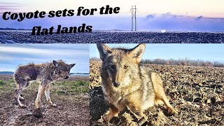 Coyote Trapping Land Management [upl. by Ylekalb378]