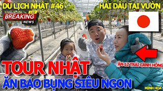 DU LỊCH NHẬT 46 BAY TỪ SÀI GÒN 4000KM ĐÁNG ĐỒNG TIỀN BÁT GẠO  HÁI DÂU NHẬT SIÊU TO amp ĂN BAO BỤNG [upl. by Enelak]