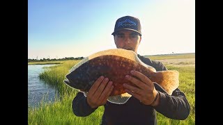 Keeper Fluke in the Shallow Sod Banks AC New Jersey [upl. by Etteyniv]