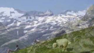 Wandern in Osttirol  Badenerhütte 2608m  wwwvirgentalat [upl. by Ycnuahc]