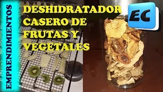 Deshidratador de frutas casero Emprendimiento rentable con baja inversion [upl. by Areval]