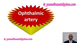 Ophthalmic artery  Origin  Course  Branches  Central artery of retina  Complete blindness [upl. by Dedie463]