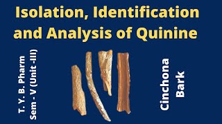 Isolation amp analysis of Quinine Cinchona Bark Pharmacognosy [upl. by Ysak]