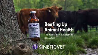 Veterinary Recommended Fast Recovery Solution For Your Herd [upl. by Saihtam]