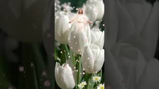 Jesus Qawwali Songs  Christian Qawwali  shorts [upl. by Tihw]