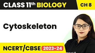 Cytoskeleton  Cell The Unit of Life  Class 11 Biology [upl. by Harts]