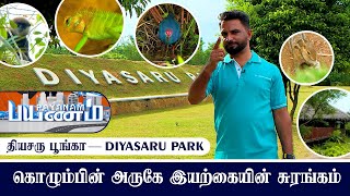 Payanam பயனம்  Diyasaru Park [upl. by Ahsikar]