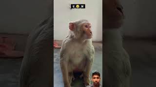 funny comedy youtubevideos youtubeshorts video viralvideo [upl. by Jotham]