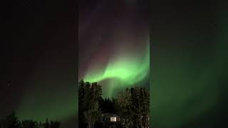 Green Aurora Illuminates Manitoba Sky [upl. by Nnayar496]