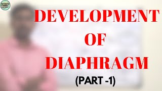 DEVELOPMENT OF DIAPHRAGM PART 1 [upl. by Ecinej]